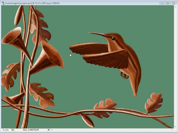 Creation of Hummingbird: Step 9